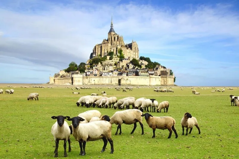 Nên tham quan Mont Saint Michel vào thời điểm nào?